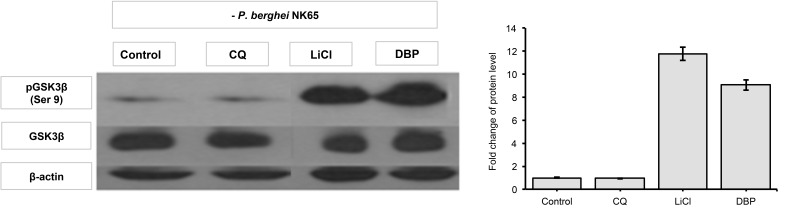 Figure 7: