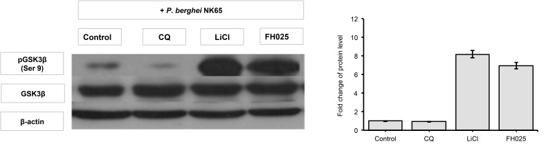 Figure 4: