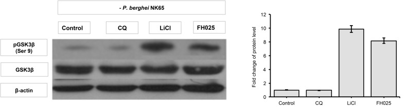 Figure 5: