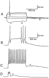 Fig. 4.