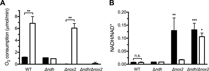 FIG 4 