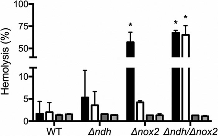 FIG 6 