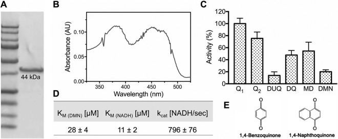 FIG 2 