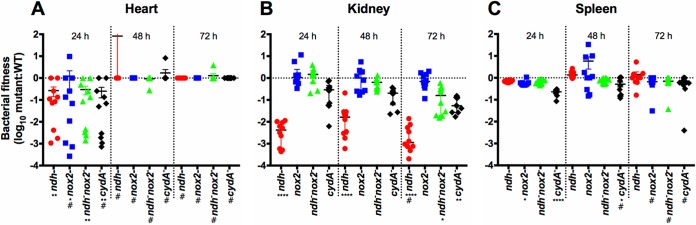 FIG 5 