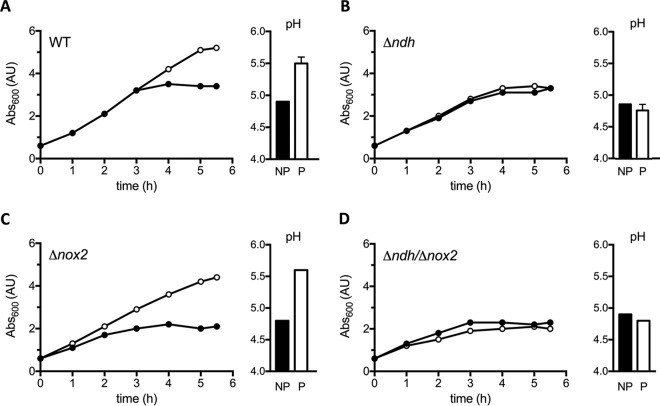 FIG 3 