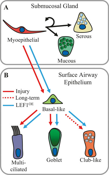 Fig. 6.3