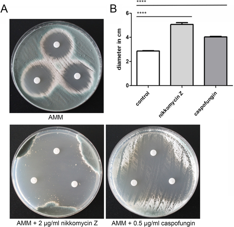 Fig. 13