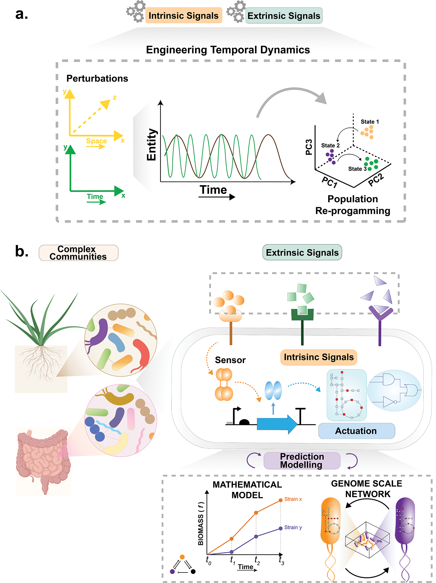 Figure 1: