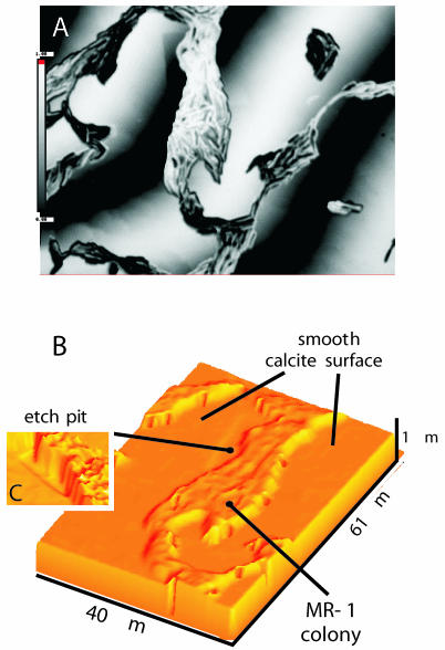 FIG. 5.