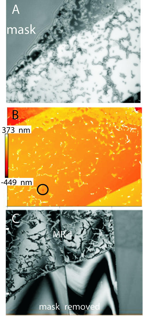 FIG. 4.