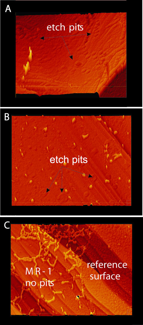 FIG. 6.