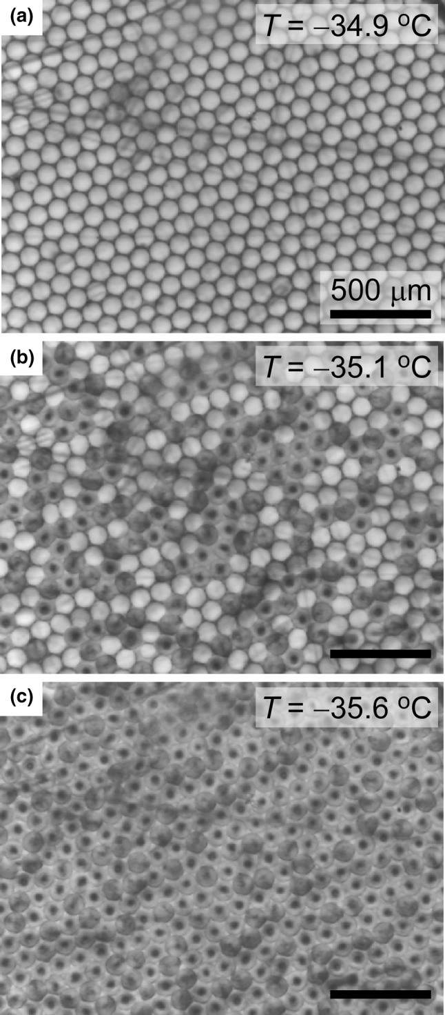 Fig. 3