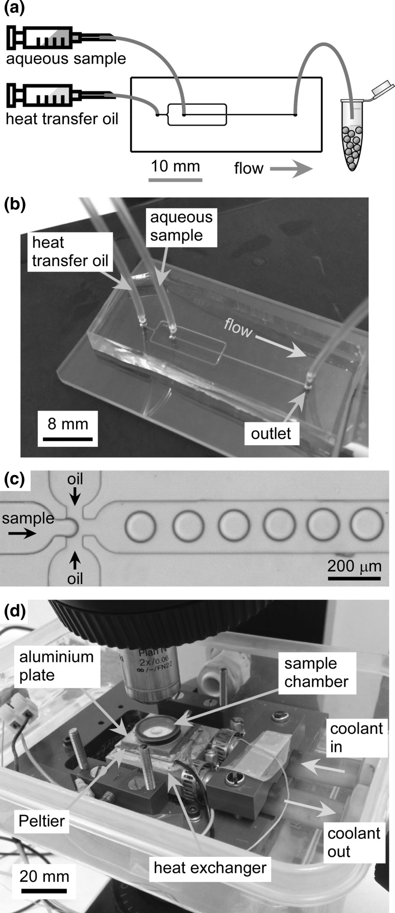 Fig. 2