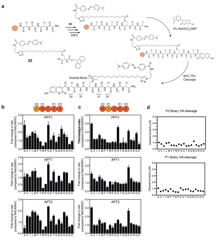 Figure 2: