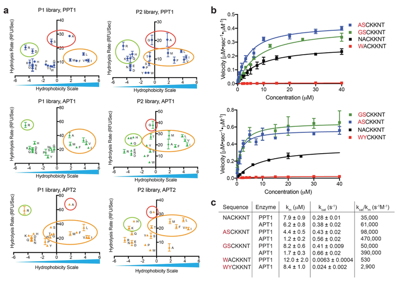 Figure 3: