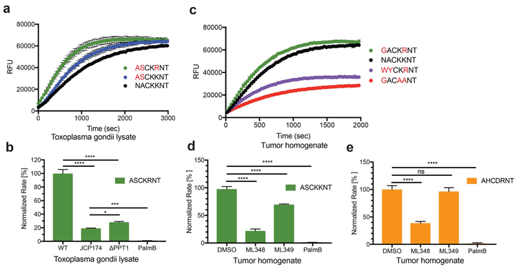 Figure 6: