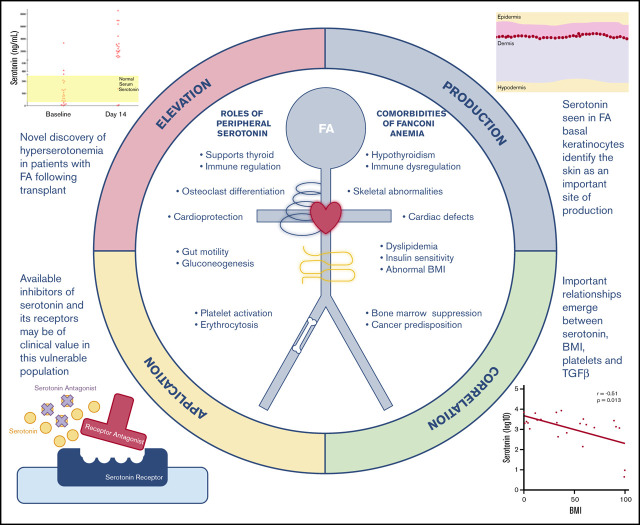 graphic file with name advancesADV2020002794absf1.jpg