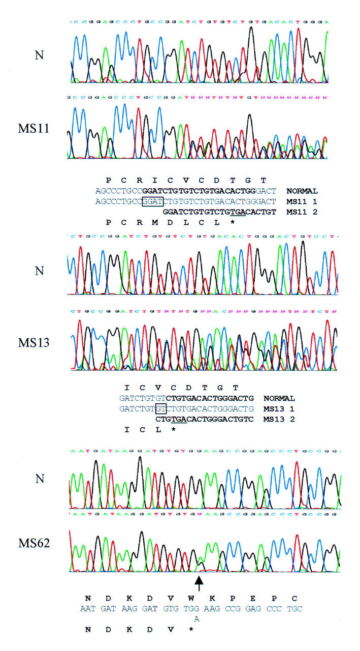 Figure 1  