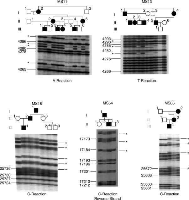 Figure 2  