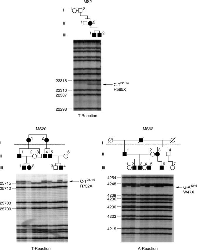 Figure 3  