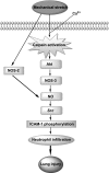 Fig. 8.