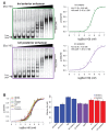 Figure 2—figure supplement 2.