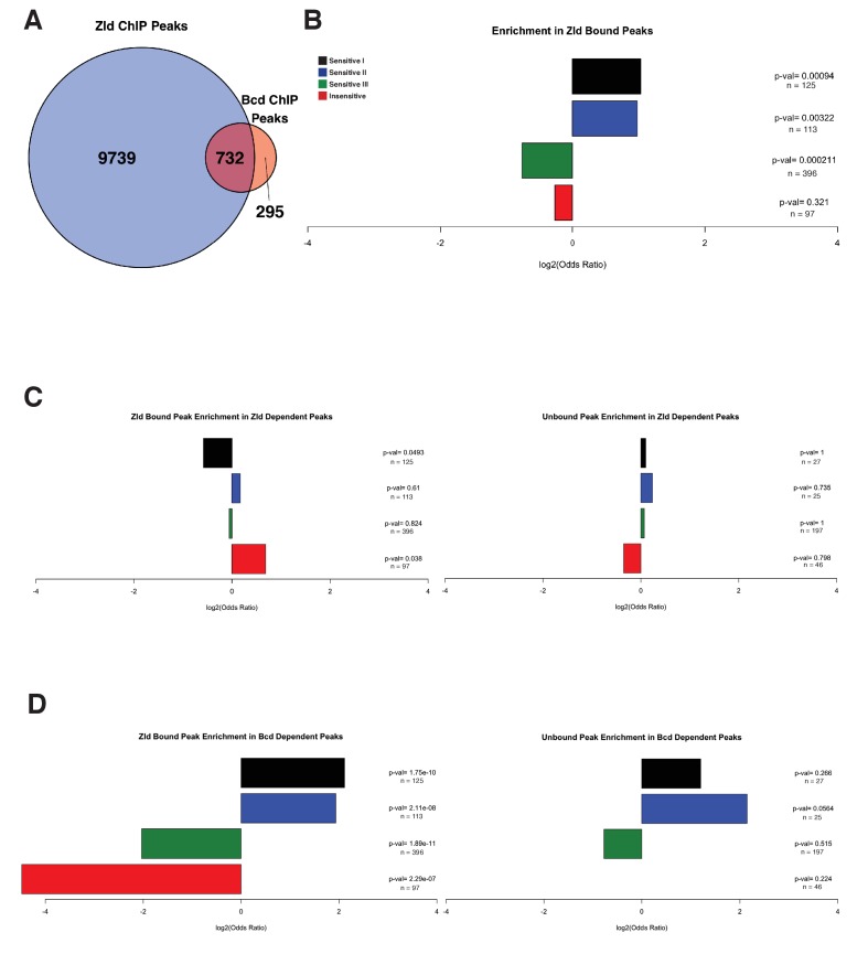 Figure 3—figure supplement 1.