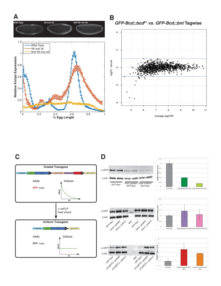 Figure 1—figure supplement 1.