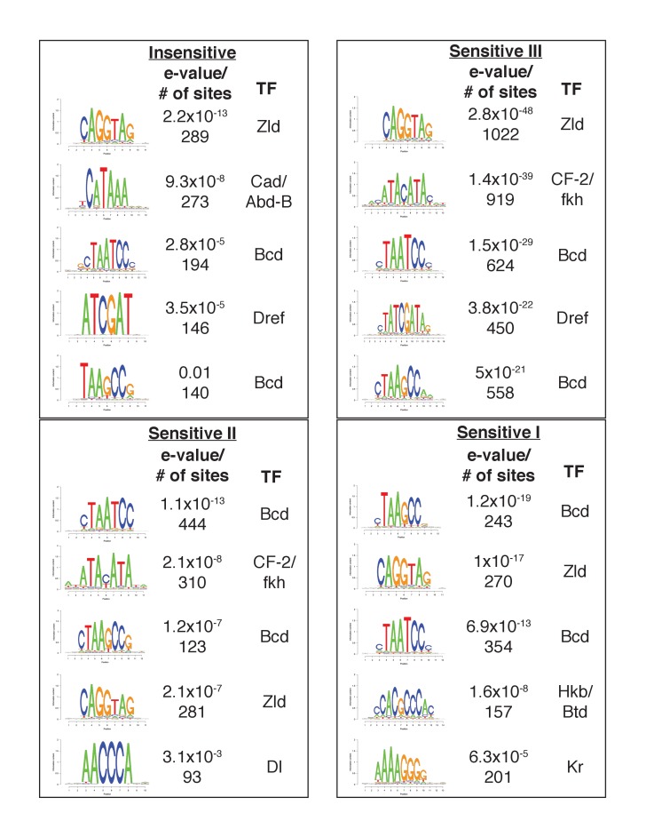 Figure 2—figure supplement 1.