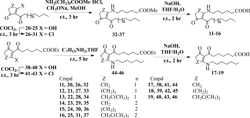 Scheme 2