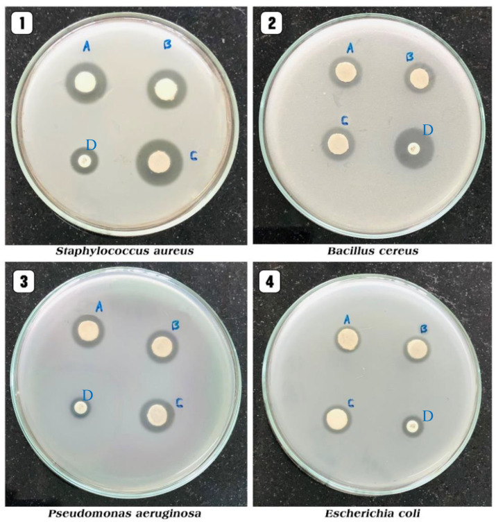 Figure 13