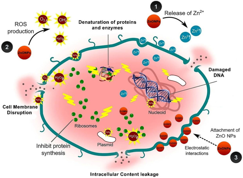 Figure 14