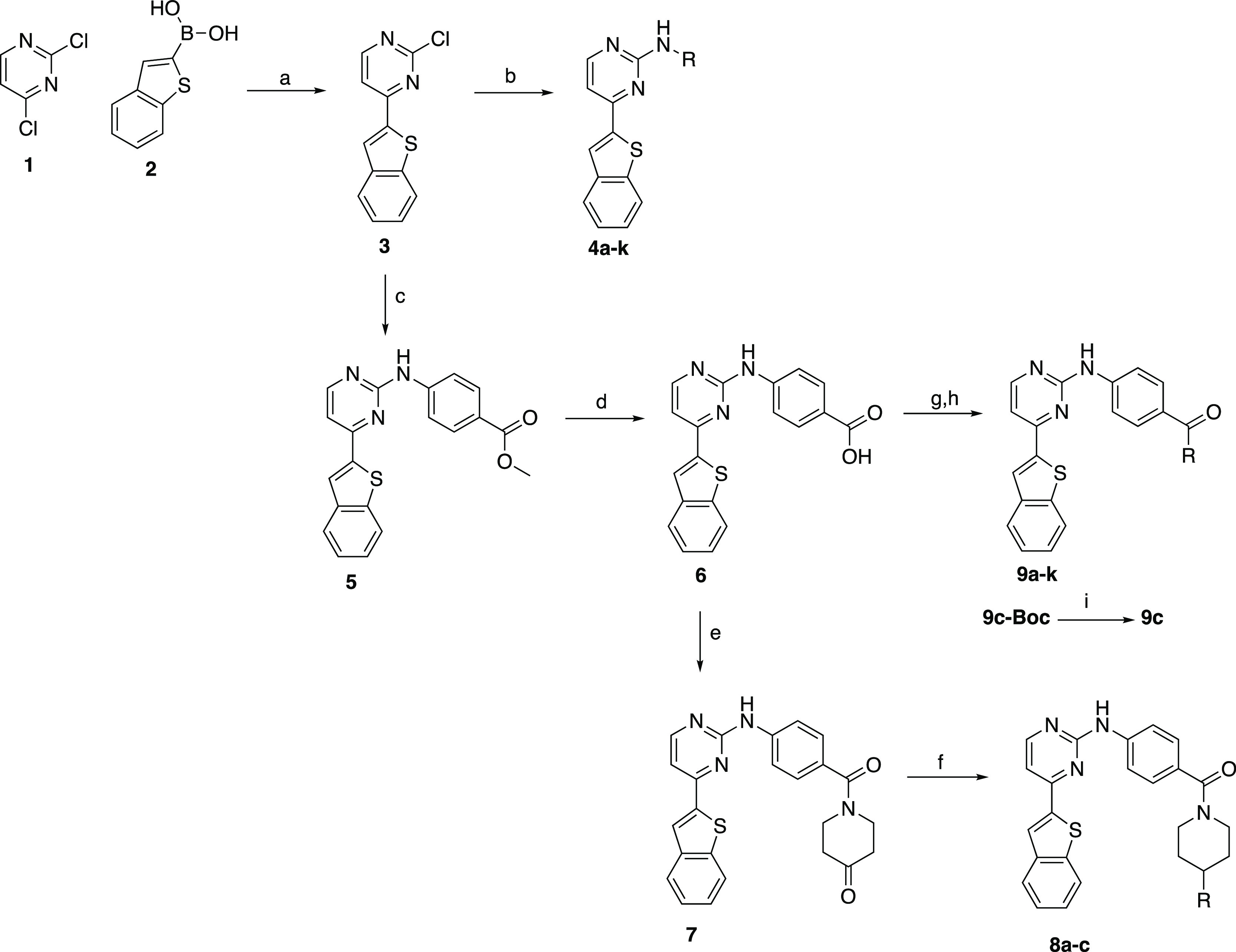 Scheme 1