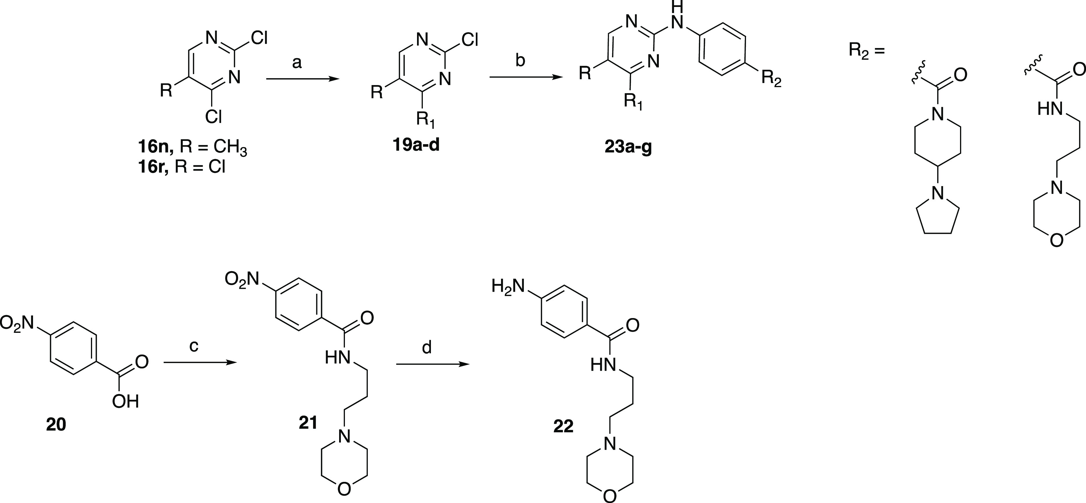 Scheme 5