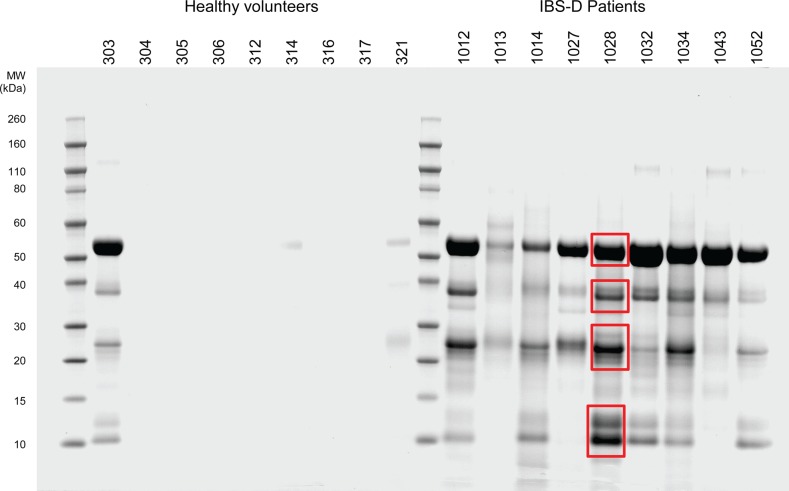 Figure 2