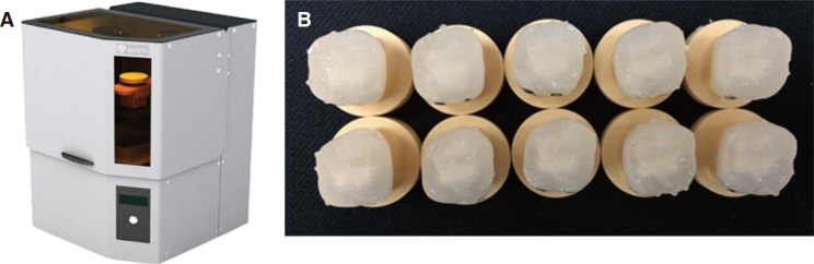 Fig. 5