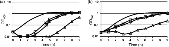 Fig. 3. 