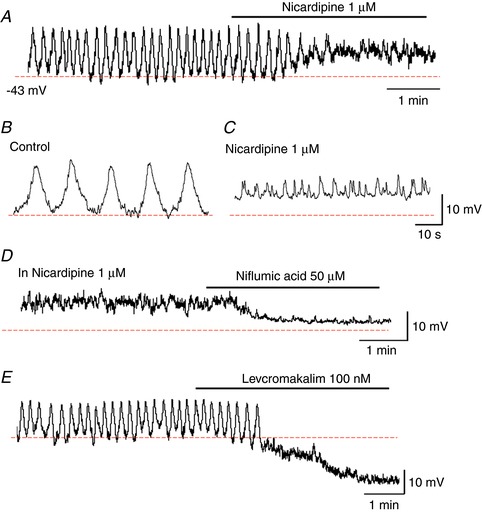 Figure 9