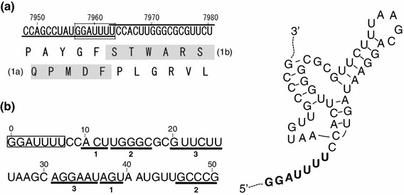 Fig. 5