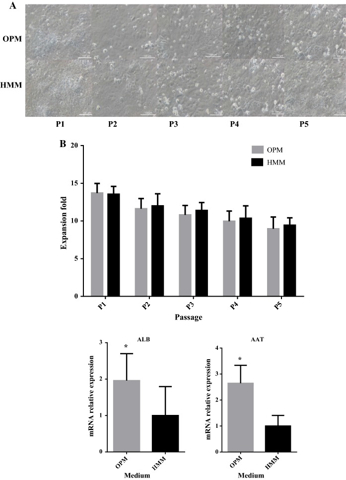 Fig. 7