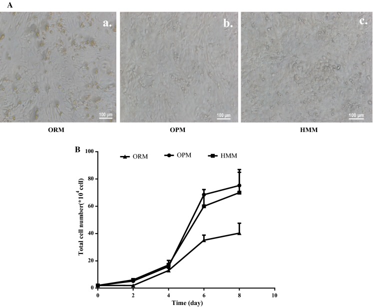 Fig. 4