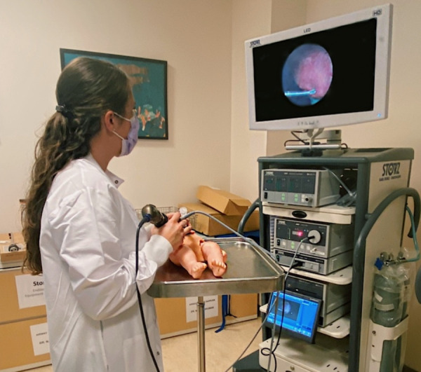 Demonstration of a minimally invasive pericardial access procedure using a simulator doll under direct visualization