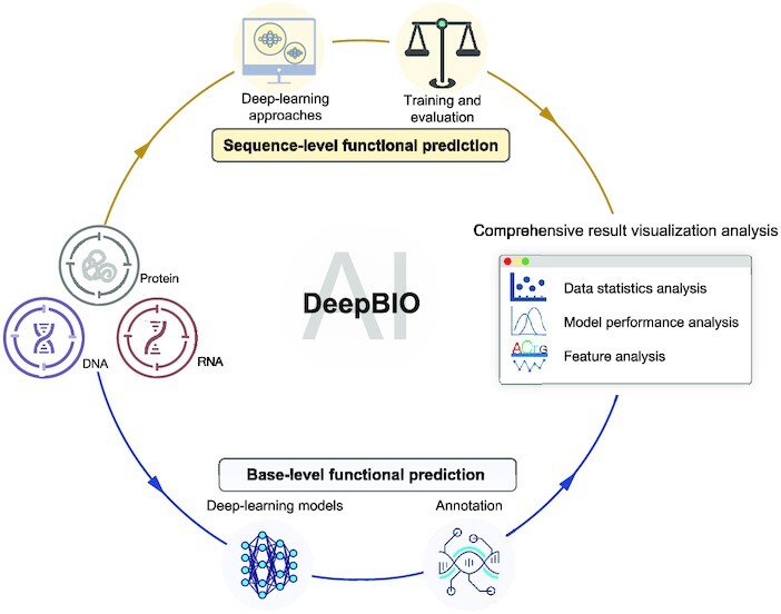 Graphical Abstract