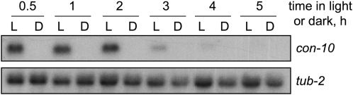 Figure 1.—