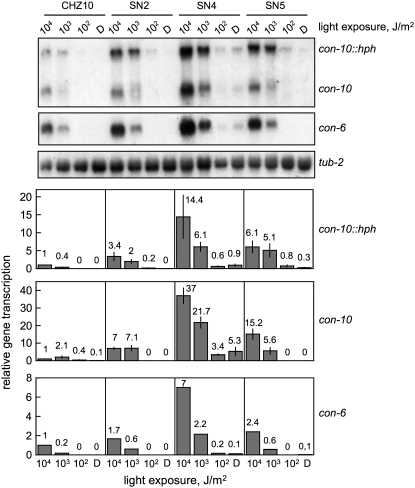 Figure 5.—