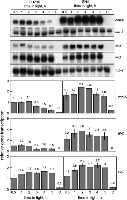 Figure 4.—