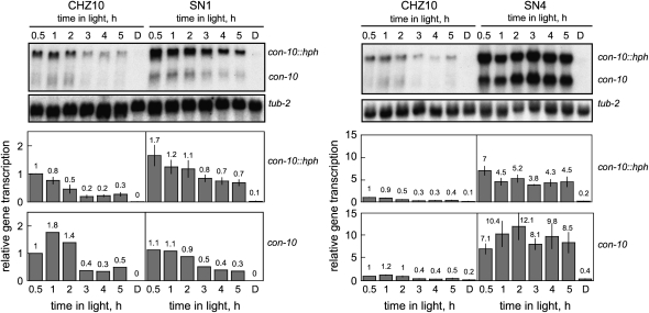 Figure 3.—