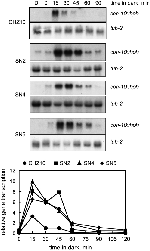 Figure 7.—