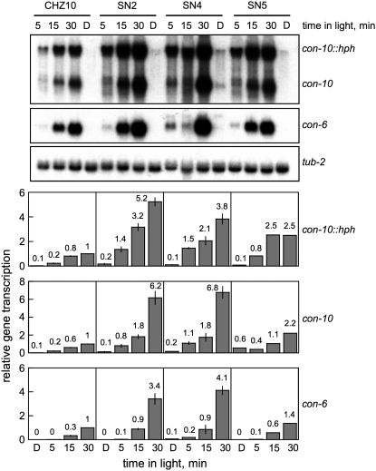 Figure 6.—