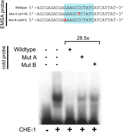 Figure 4.—